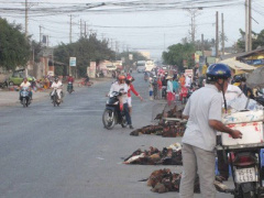 Ảnh bìa bài viết 284187