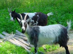 Ảnh bìa bài viết 284269