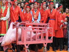 Ảnh bìa bài viết 284329