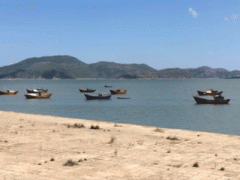 Ảnh bìa bài viết 284375