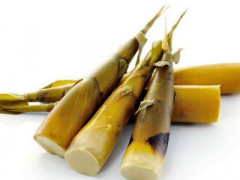 Ảnh bìa bài viết 284492