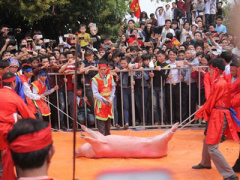 Ảnh bìa bài viết 284485