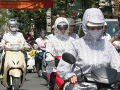 Ảnh bìa bài viết 284450
