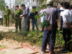Ảnh bìa bài viết 284400