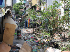 Ảnh bìa bài viết 284516