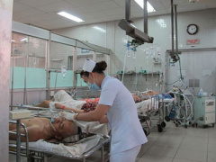 Ảnh bìa bài viết 284544