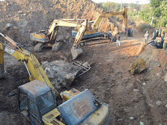 Ảnh bìa bài viết 284705