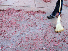 Ảnh bìa bài viết 284542