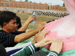 Ảnh bìa bài viết 284796