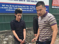 Ảnh bìa bài viết 285000