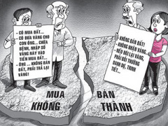 Ảnh bìa bài viết 284967