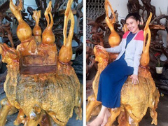Ảnh bìa bài viết 285011