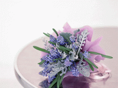 Ảnh bìa bài viết 285090