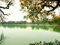 Ảnh bìa bài viết 285431