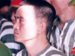 Ảnh bìa bài viết 285458