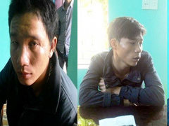 Ảnh bìa bài viết 285449