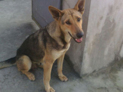 Ảnh bìa bài viết 285653