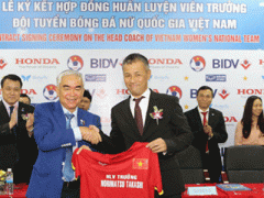 Ảnh bìa bài viết 285821