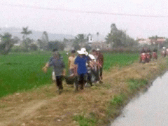 Ảnh bìa bài viết 285822
