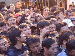 Ảnh bìa bài viết 285930