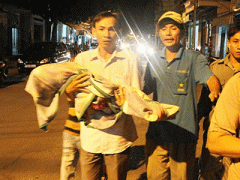 Ảnh bìa bài viết 286199