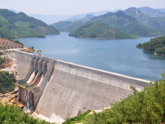 Ảnh bìa bài viết 286169