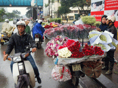 Ảnh bìa bài viết 286312