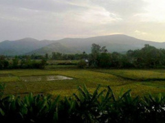 Ảnh bìa bài viết 286263