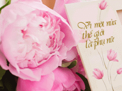 Ảnh bìa bài viết 286241
