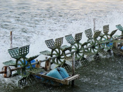 Ảnh bìa bài viết 286270