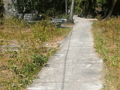 Ảnh bìa bài viết 286435