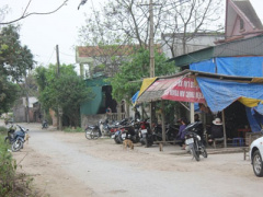 Ảnh bìa bài viết 286344