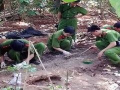 Ảnh bìa bài viết 286707