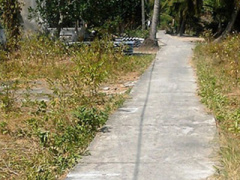 Ảnh bìa bài viết 286780