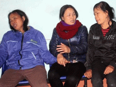 Ảnh bìa bài viết 286826