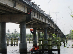 Ảnh bìa bài viết 286982