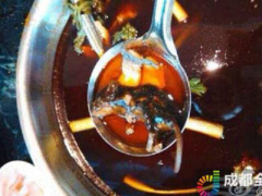 Ảnh bìa bài viết 287215