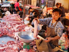 Ảnh bìa bài viết 287045