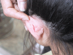 Ảnh bìa bài viết 287422