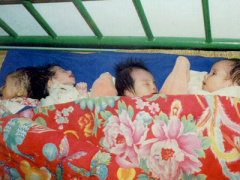 Ảnh bìa bài viết 287247