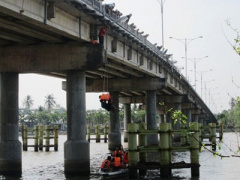 Ảnh bìa bài viết 287398