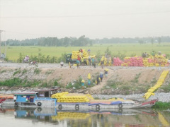 Ảnh bìa bài viết 287362