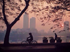 Ảnh bìa bài viết 287433