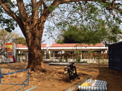 Ảnh bìa bài viết 287469