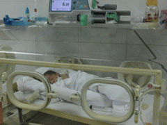 Ảnh bìa bài viết 287661