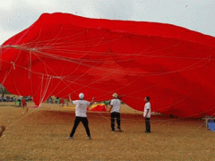 Ảnh bìa bài viết 287659
