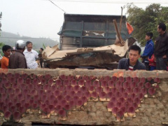 Ảnh bìa bài viết 287628