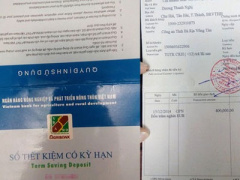 Ảnh bìa bài viết 287845