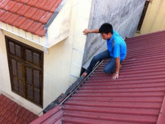 Ảnh bìa bài viết 287808