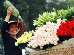 Ảnh bìa bài viết 287681